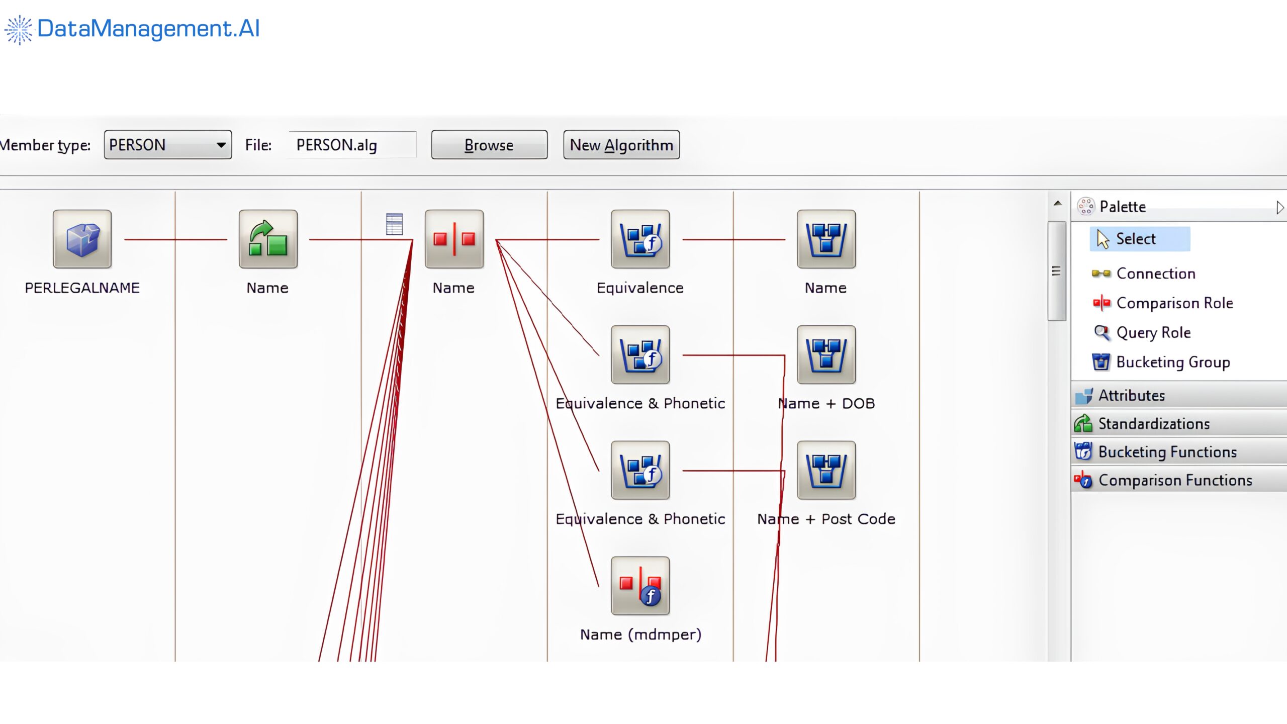 IBM master data management tool.