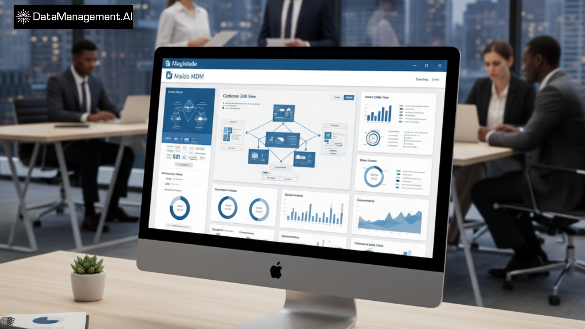 Magnitude master data management tool.