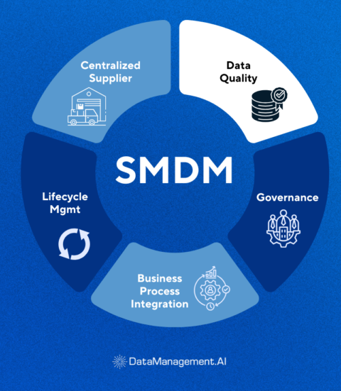 Supplier Master Data Management: Best Practices and Tools