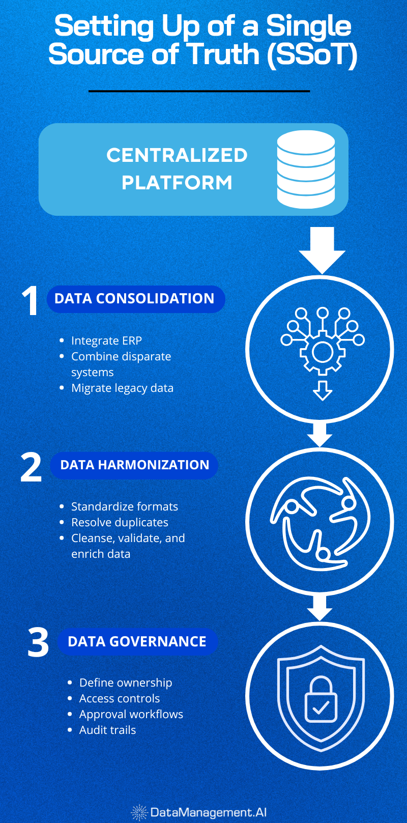 Procurement master data management strategy for single source of truth.