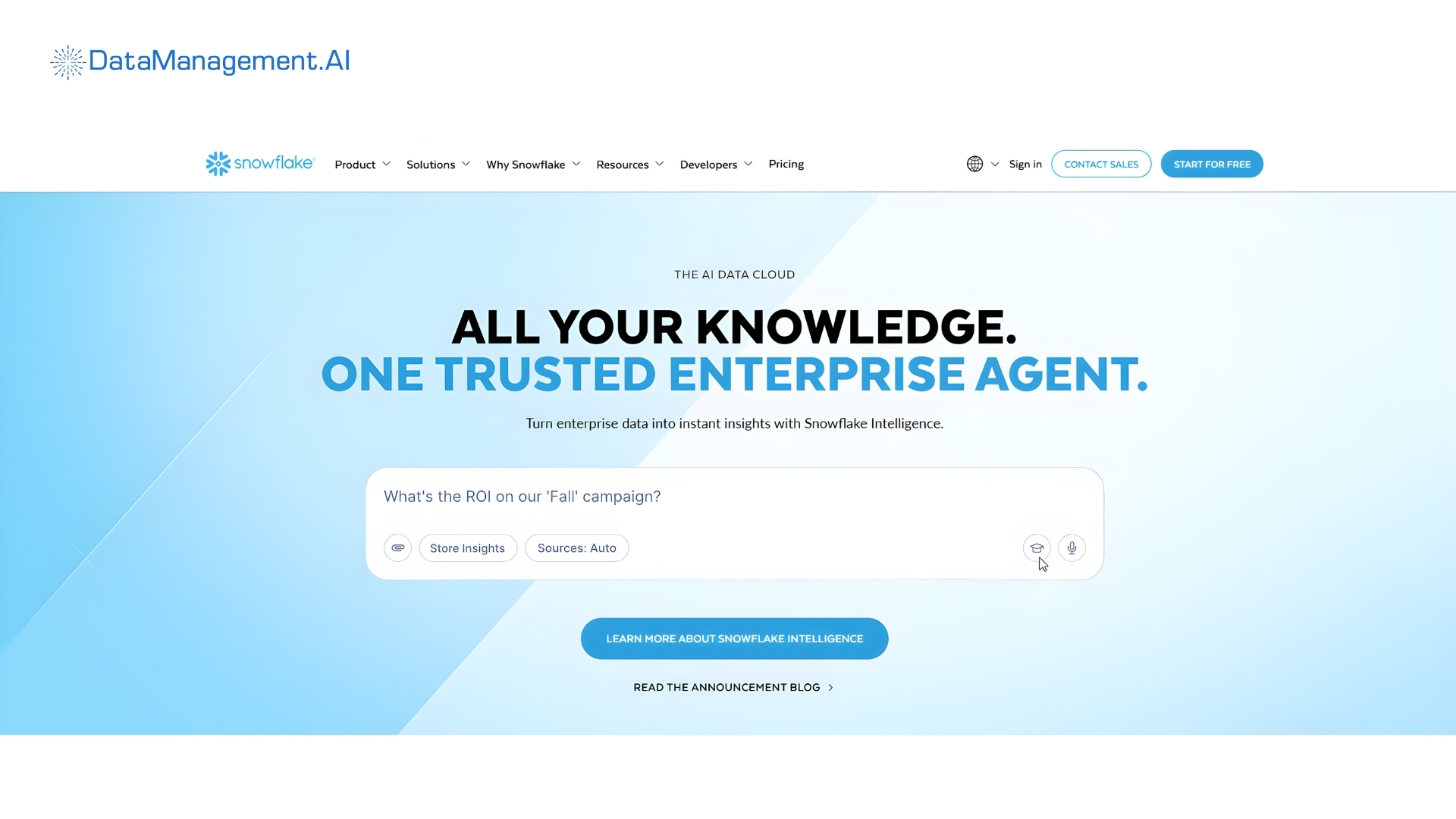 screenshot of snowflake website